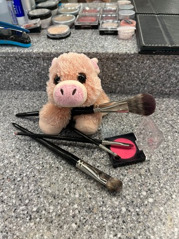 Pinky - La mascotte d'Alexane Leclerc