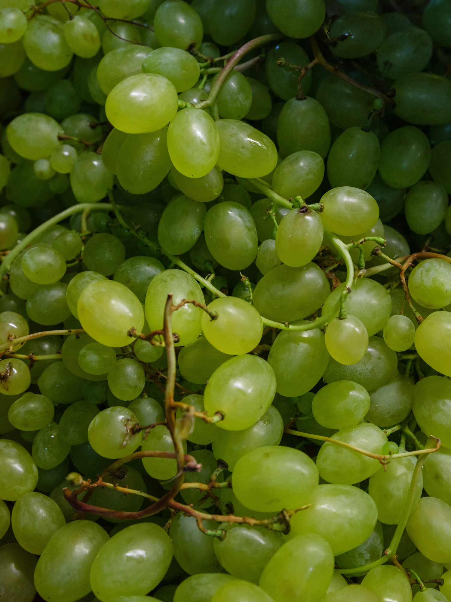a bunch of green grapes