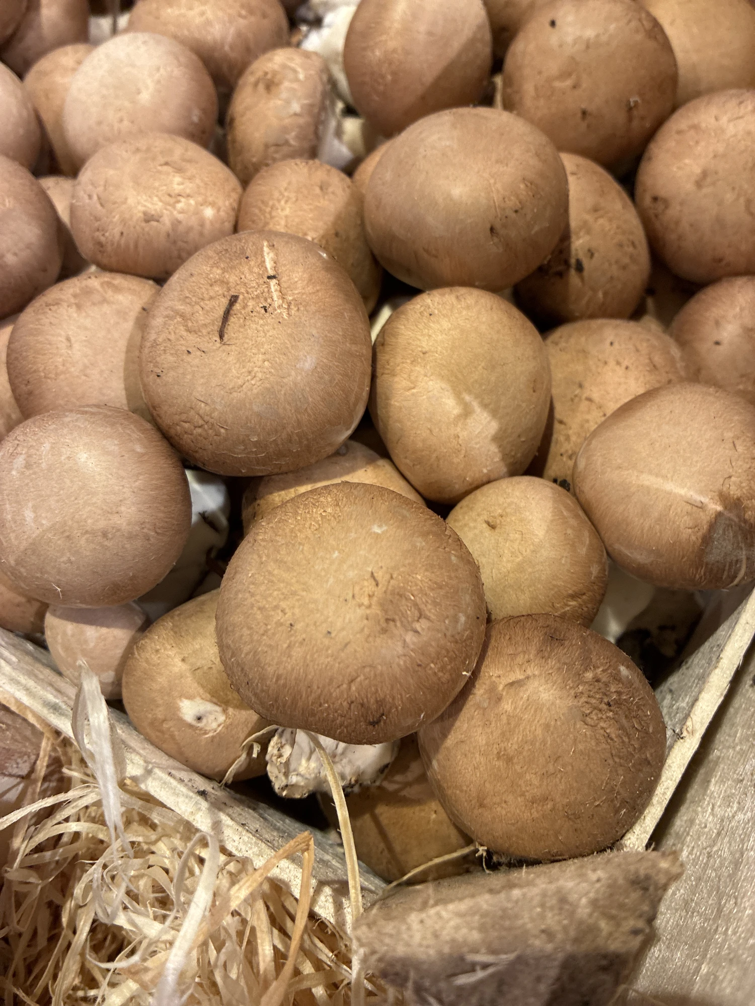 Parent Primeurs - Primeur à Lille