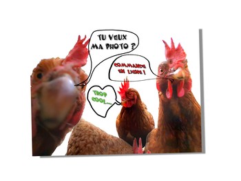 Jacadifoto - Photographie scolaire à Moustéru